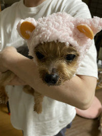 ペコちゃん