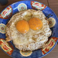 わん