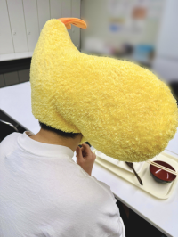 みーたん