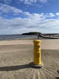 ペッパルカーカ