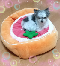 ぷちょん