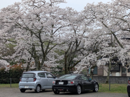 オレンジチョコレト