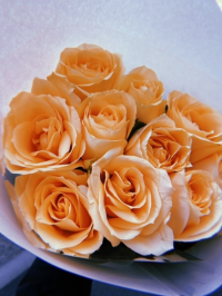 ブルーグレーroom