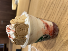 ありさありさん