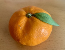 ゆきんこみかん