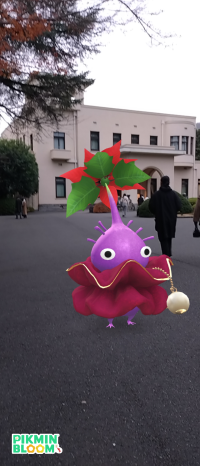 日々好日