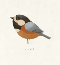 ぴょんこ