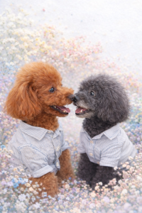 みっちぃ＆アリエル