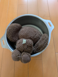 yasu