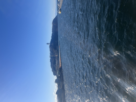 ぐー豆