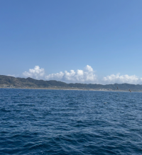 おいしいものがすき