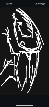 パティ