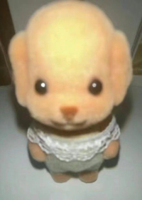 いかの塩辛