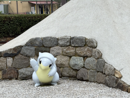 さい