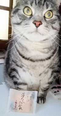 ももら