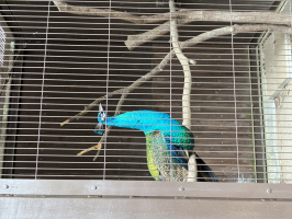 すえひろ