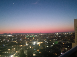 お散歩大好き