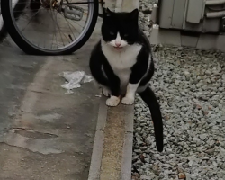 ゆみ