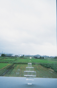 スパイス
