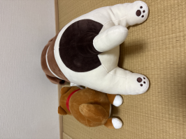 のんち