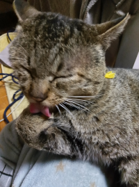 みと