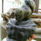うにうに