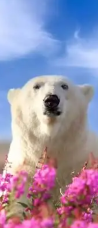 ホッキョクグマさん