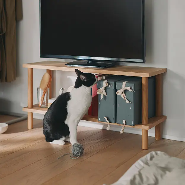 手軽に組み立てられる木製シェルフをテレビ台として使うイメージ。