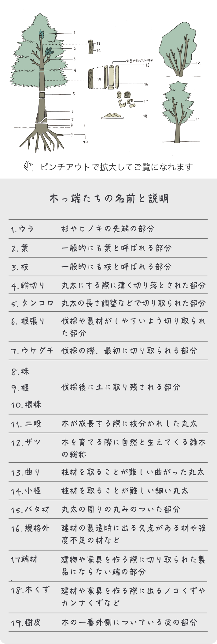 イメージイラスト