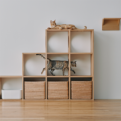 ペット用品