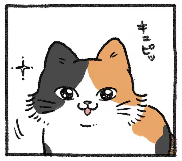 【探偵と猫】 おやつ、クッション、タオル……無印良品の猫のアイテムを試す