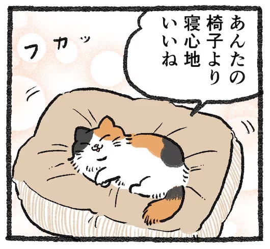 【探偵と猫】 おやつ、クッション、タオル……無印良品の猫のアイテムを試す