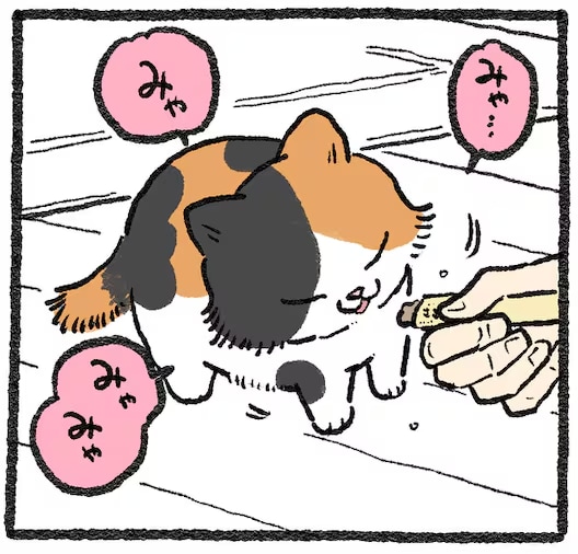 【探偵と猫】 おやつ、クッション、タオル……無印良品の猫のアイテムを試す