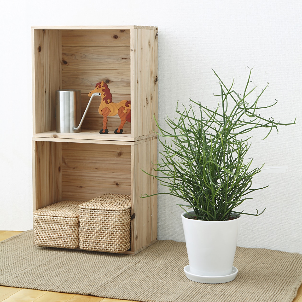 ミルクブッシュ384｜観葉植物専門店「ワールドガーデン」 新宿でお渡し