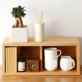 観葉植物　ガジュマル　スクエア