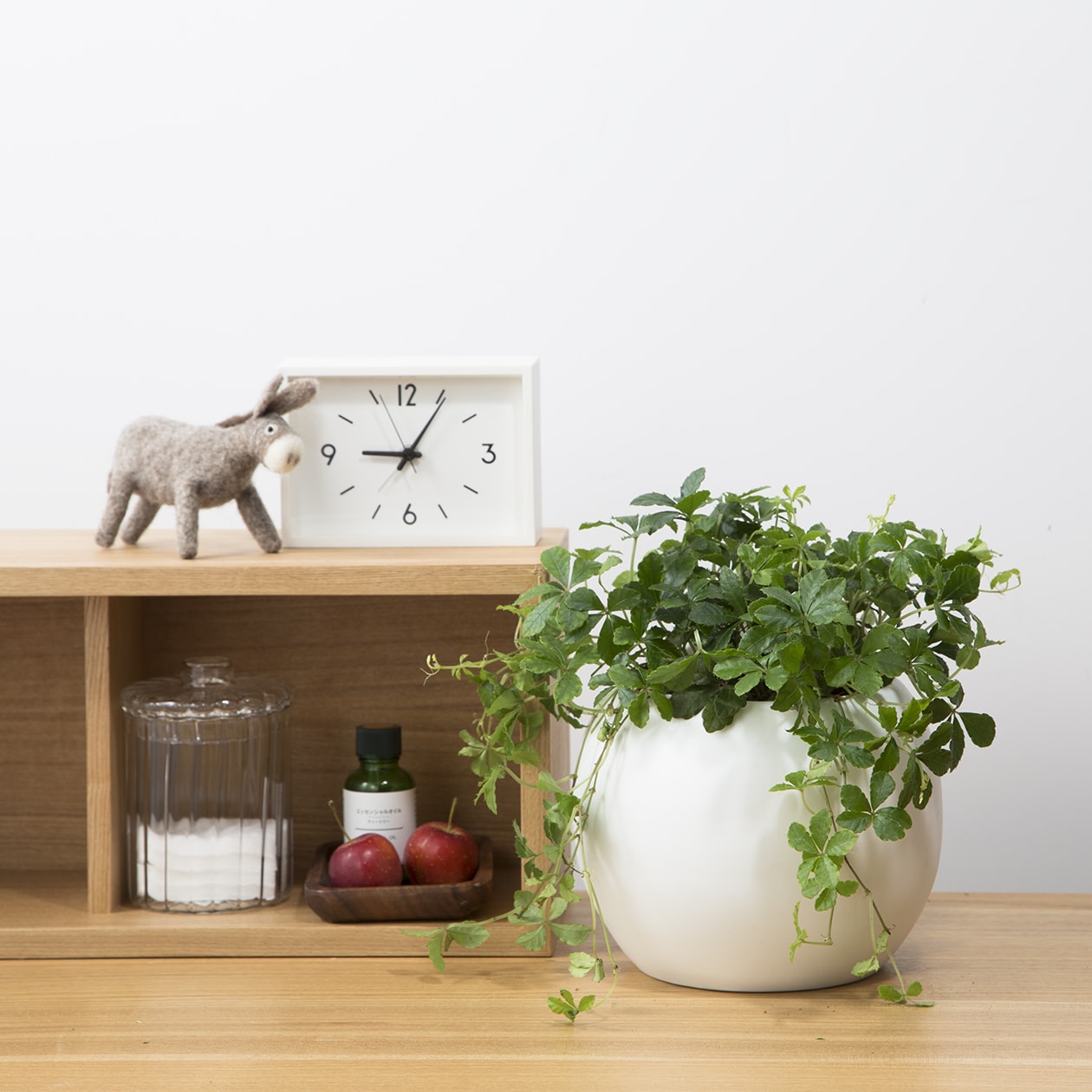 アクアポット　シュガーバイン　４号