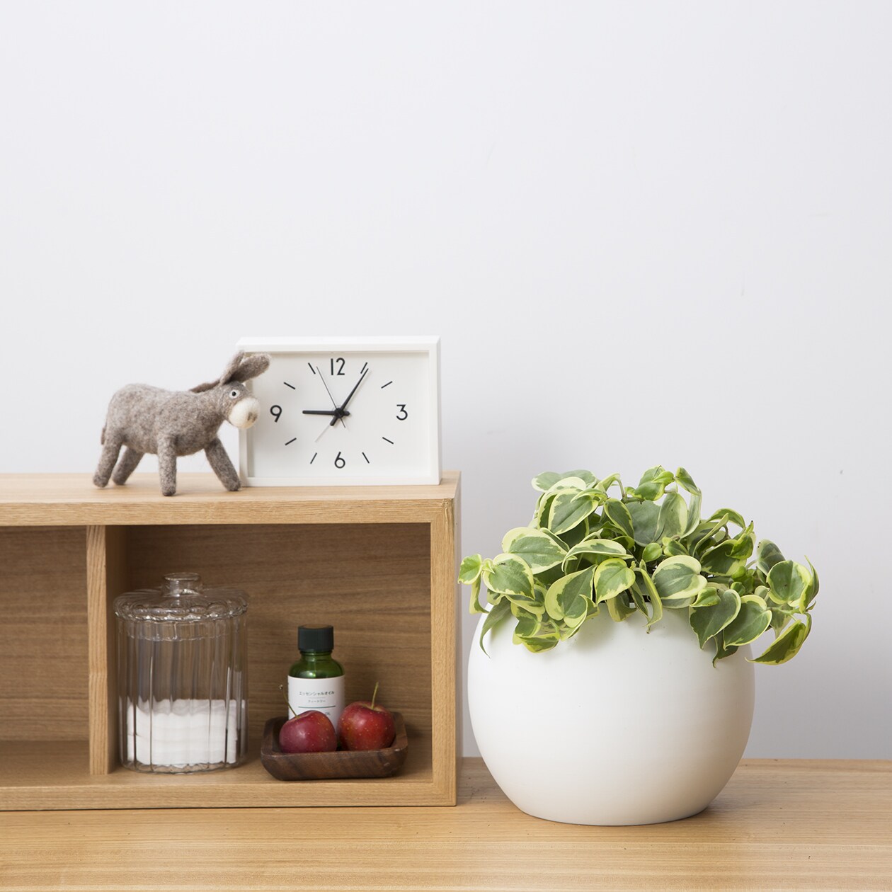 アクアポット　セルペンス　４号