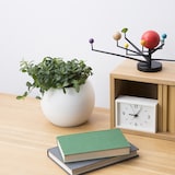 アクアポット　バッキニオイデス　４号