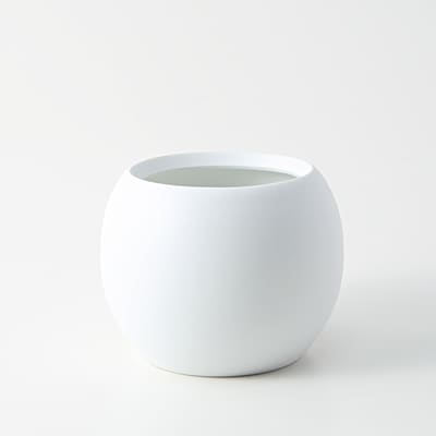 【パーツ】アクアポット４号用植物苗