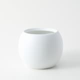 【パーツ】アクアポット４号用植物苗