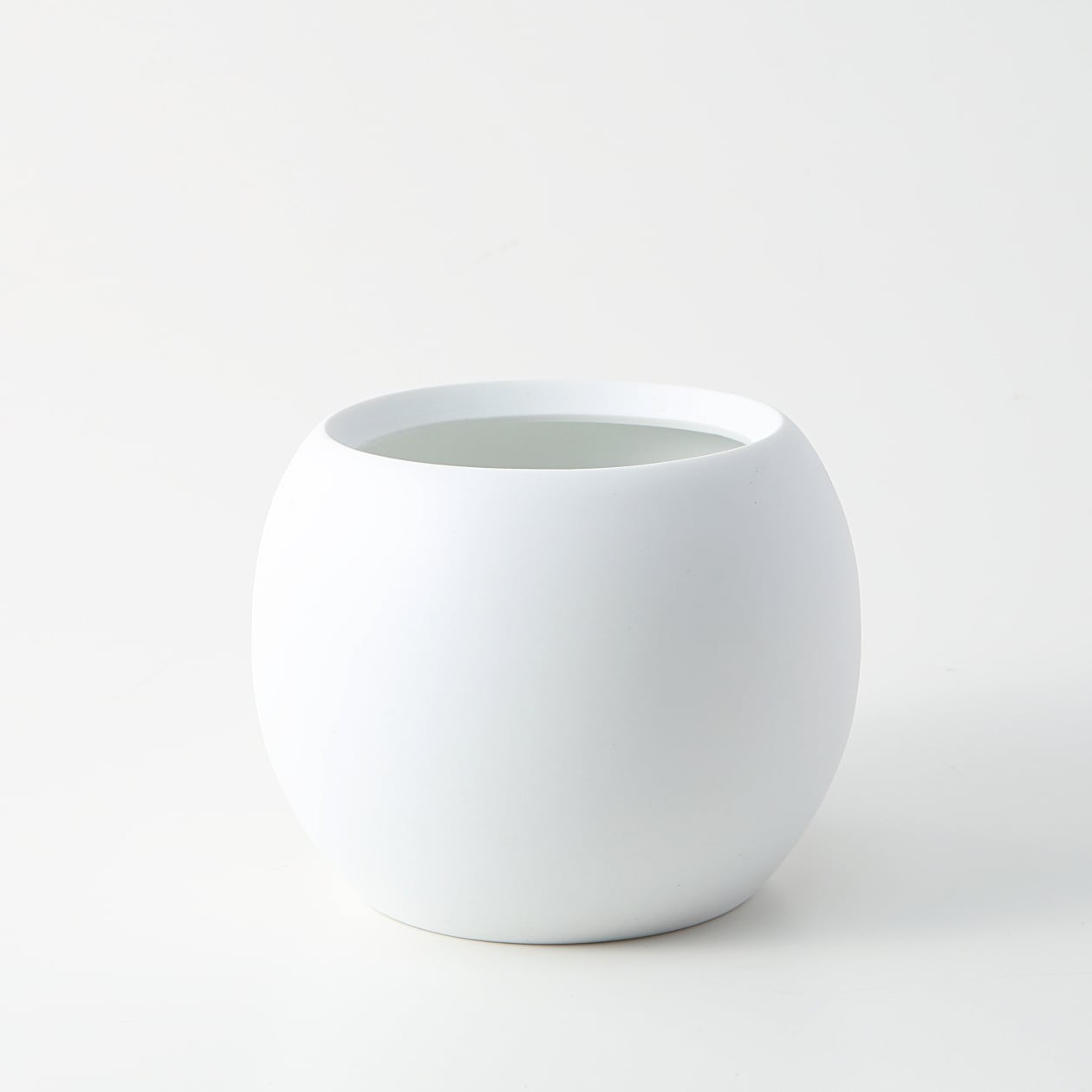 【パーツ】アクアポット４号用植物苗