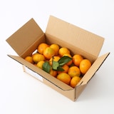 熊本県河内産　うきこ農園の温州みかん　約２ｋｇ（１５～３０個）