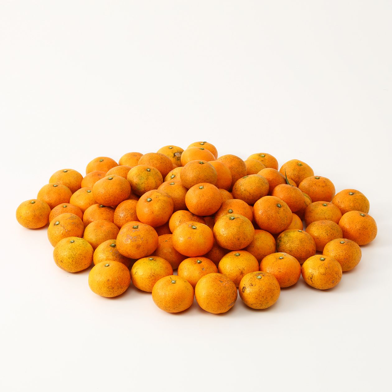 愛媛県産 無茶々園の 温州みかん 小玉 約5kg 通販 無印良品