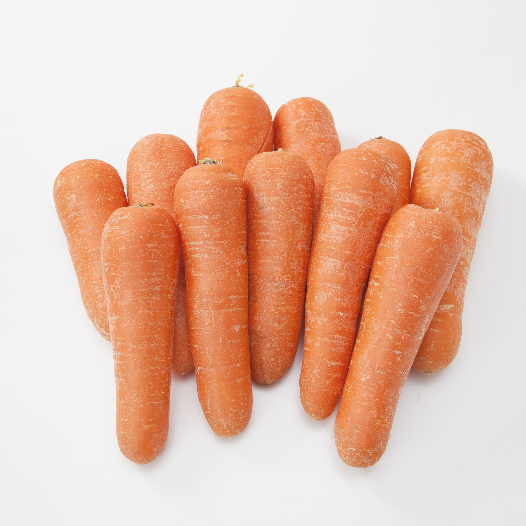 青森県深浦町産　ふかうら雪人参　約２ｋｇ（規格外品）