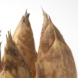 北九州産　朝採り「合馬たけのこ」１ｋｇ（家庭用）