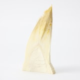 北九州産　朝採り「合馬たけのこ」１ｋｇ（家庭用）