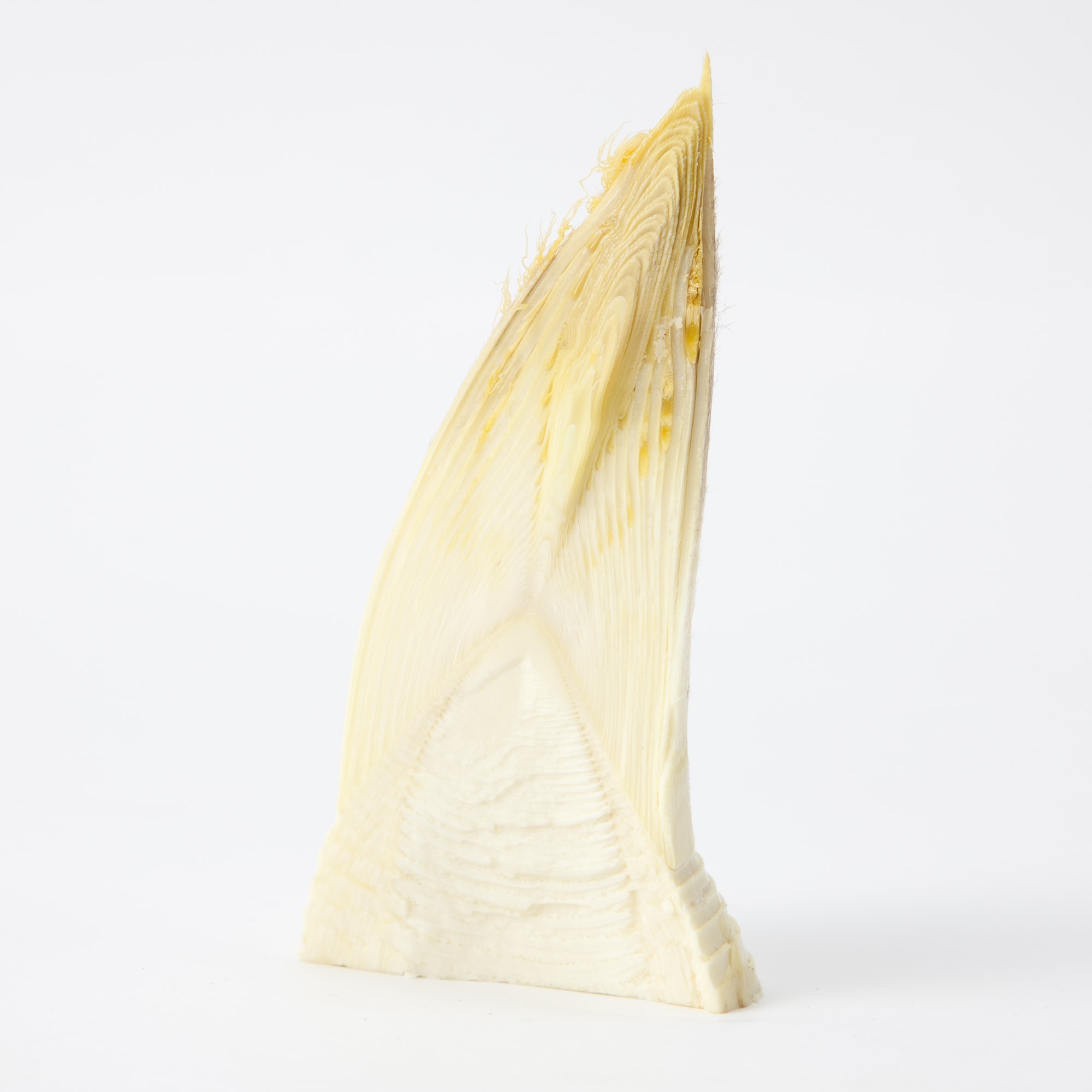 北九州産　朝採り「合馬たけのこ」１ｋｇ（家庭用）