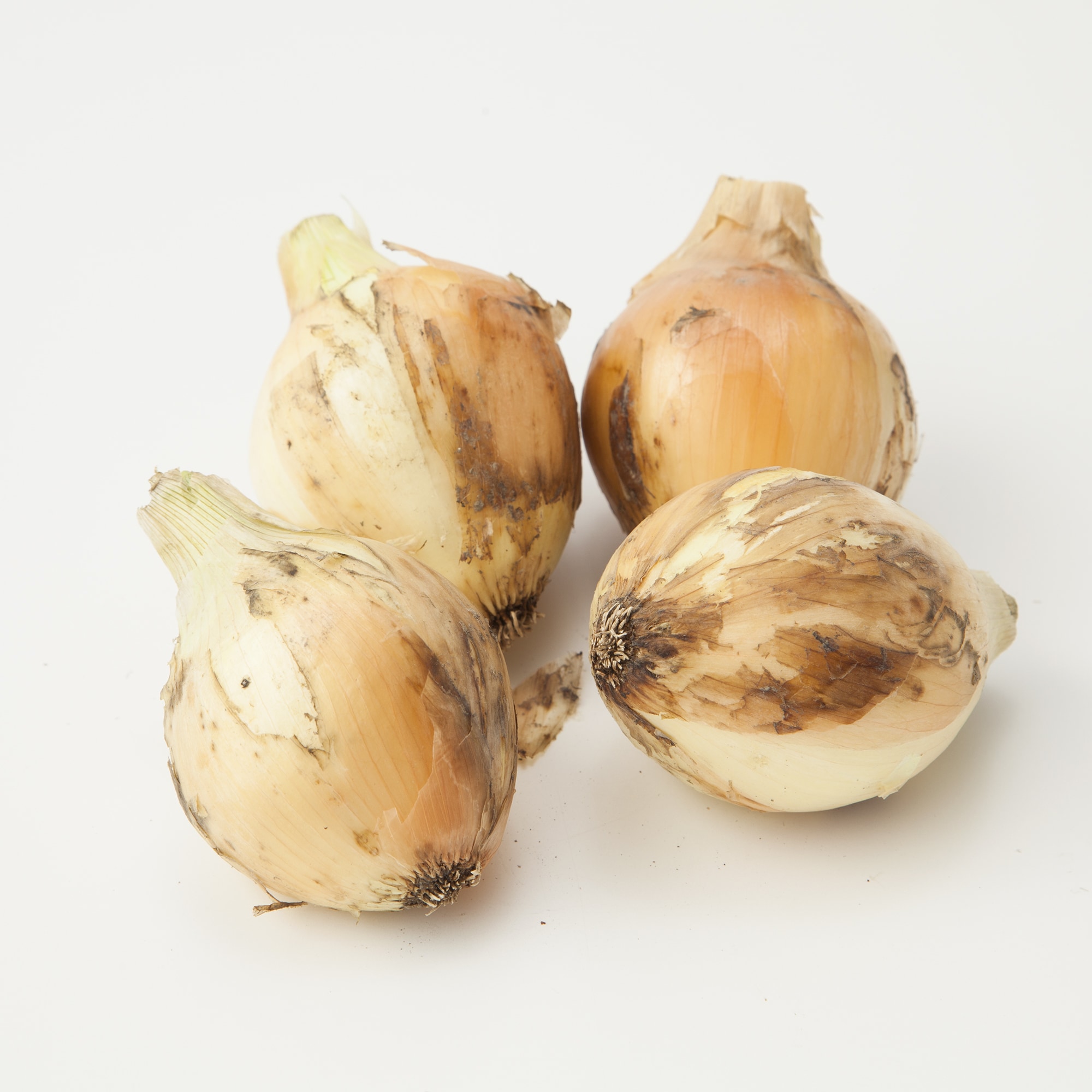 兵庫県淡路島産　花岡農恵園の自然栽培「新玉ねぎ」　３ｋｇ