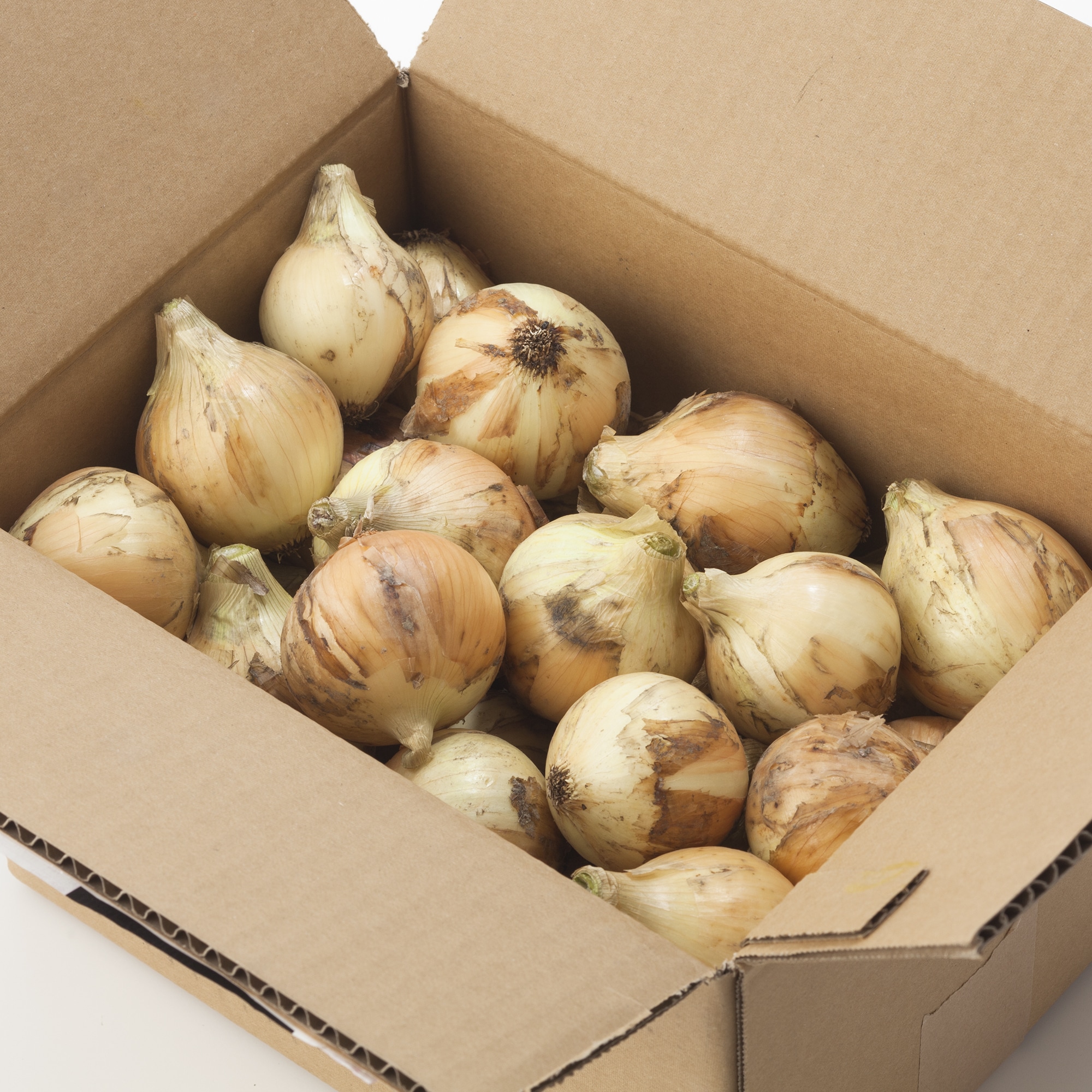 兵庫県淡路島産　花岡農恵園の自然栽培「新玉ねぎ」　３ｋｇ