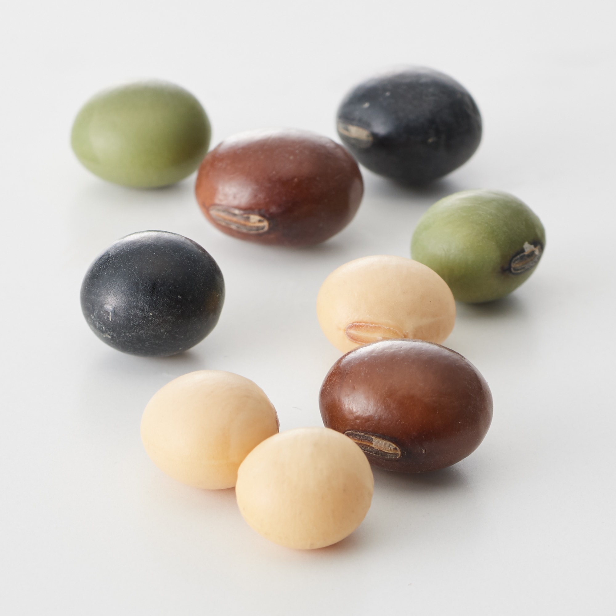 鹿児島県産　ミックス大豆